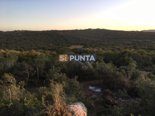Imagen 11 de 13 de Chacras En Ruta 39 Próximas A Aigua.