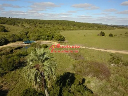 Imagen 9 de 15 de Venta De Chacra De 5 Hectareas En Paraje Las Cañas
