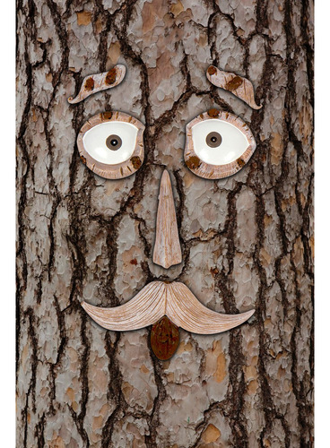 Juego De 6 arbol Face Whimsical Jardin Al Aire Ultima Interv