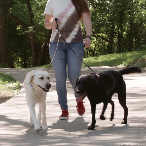 Instecho Collar De Entrenamiento Para Perro, 100% Resistente