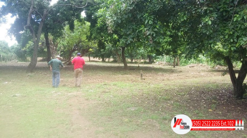 Imagen 4 de 8 de Venta De Terrenos Lotes En Masaya