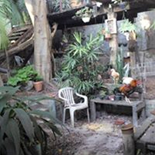 Imagem 4 de 19 de Casa Com Tranquilidade Total Zona Z! - Reo16630