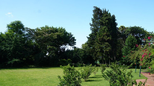 Imagen 9 de 12 de Fanstasico Terreno En Las Lomas De San Isidro - Reynolds Propiedades