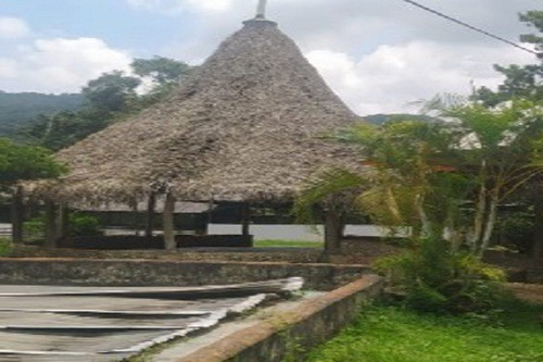 Imagen 10 de 12 de Aa Asein1731 Vende Excelente Finca En El Sector Las Manzanita En Tinaquillo Edo. Cojedes.