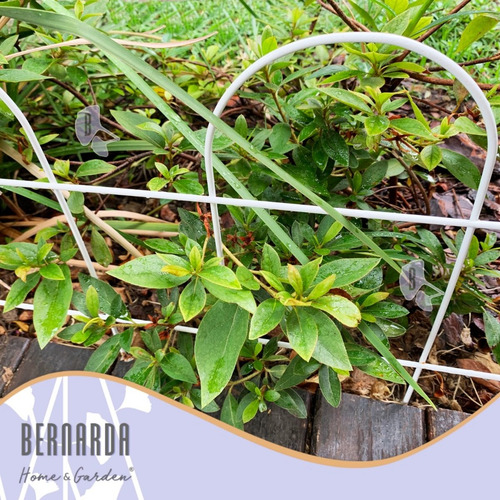 Imagen 5 de 10 de Cerco Decorativo De Hierro Jardin X 6,40mt Blanco Verde