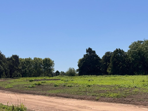 Venta - Lote Interno - Estancia Carabassa | Vco Propiedades