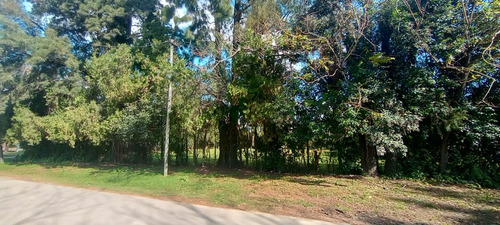 Lote En Venta En Tristan Suarez Ezeiza