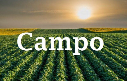 Venta - Campo Ganadero - 500 Ha - Carrizales, Santa Fe