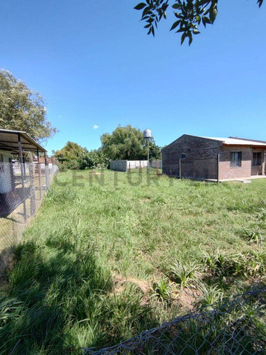 Venta Terreno En Andino