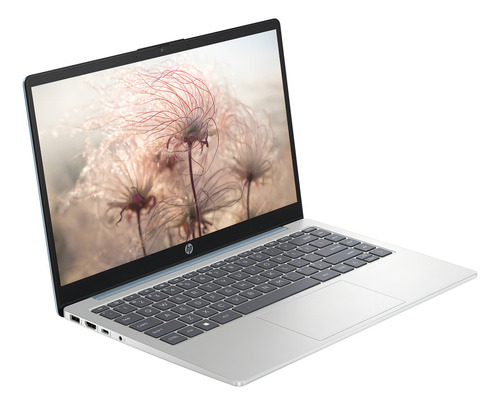 Notebook HP 14-em0004la Amd Ryzen 3 8 Gb Ram 512 Gb Ssd