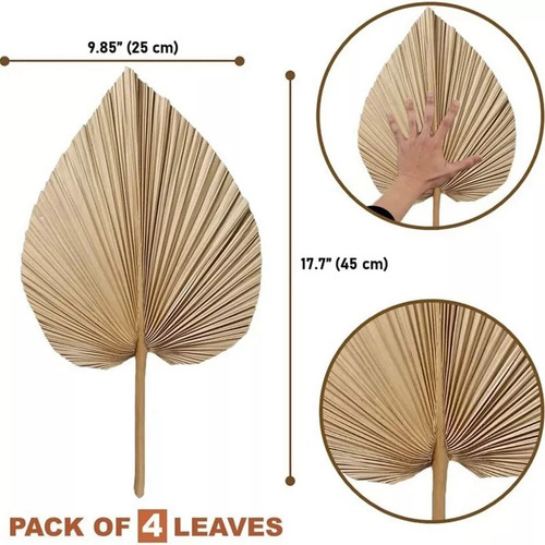 Para 4 Piezas De Hojas De Palma Secas Naturales Que Son