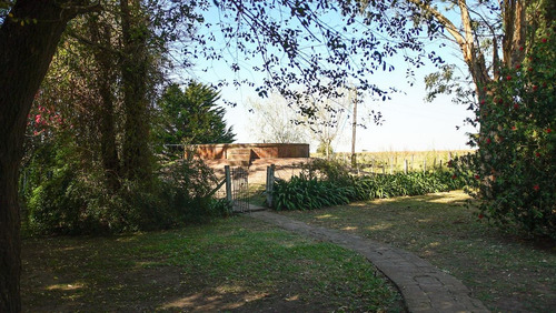 Imagen 8 de 23 de Campo Mixto De 95 Has - Antonio Carboni, Lobos