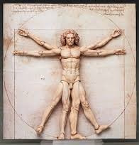 Vitruvian Man Museo Mesa Full Articulable Original Vitrubio