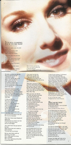 Imagen 6 de 9 de Cd Celine Dion - Falling Into You 1995 Epic - Canadá