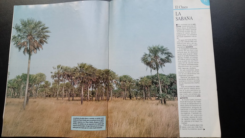Suplemento Gente El Chaco 6 Parte 2° 16 Pág (Usado)
