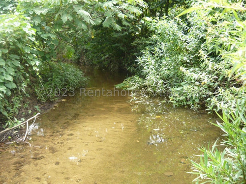 Imagen 28 de 30 de ( Terreno O Finca Agro Ecologica En Venta Chivacoa Sector Charay. Sorte 23-31244 As-1