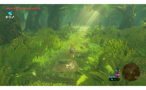 Set Legend Of Zelda Breath Of The Wild