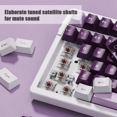 Basaltech Teclado De Juego Mecánico De 100 Teclas, Brown Swi