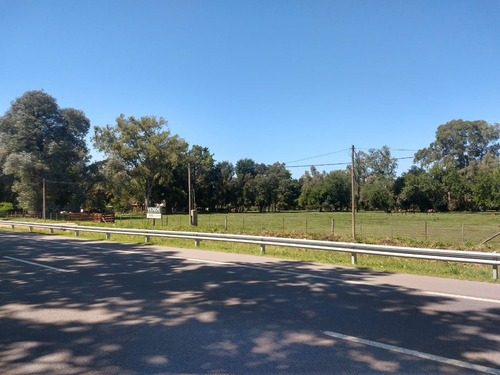 Imagen 7 de 15 de Lote | Ruta Nac Nº 8
