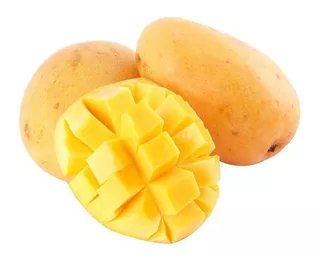 Arbolito De Mango Ataulfo