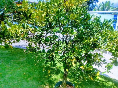 Imagem 24 de 30 de Chácara À Venda Em Terra Preta - Mairiporã/sp - Agende Já Uma Visita - 0193 - 34968799