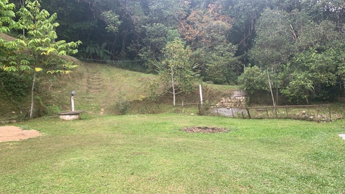 Imagem 14 de 19 de Chácara À Venda Perfeita Para Moradia Com Lago Pomar 20.000 M²