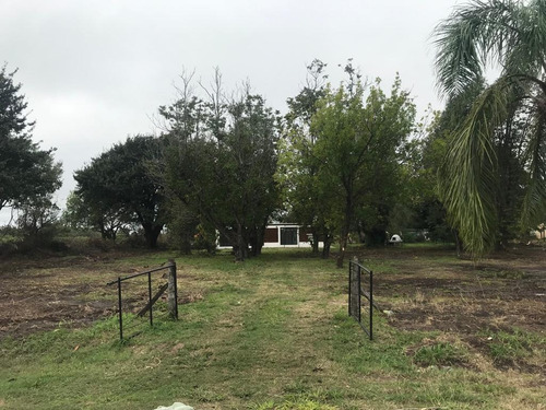 Imagen 17 de 30 de Terreno - Ibarlucea