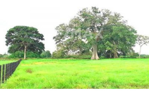 Imagen 11 de 15 de Finca En Venta Vía El Sur. Maturín (1)