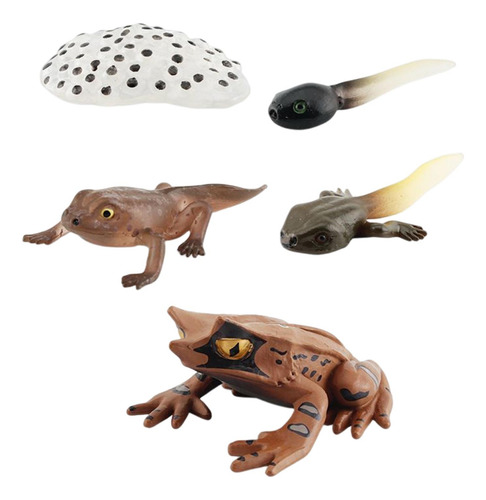 3 Figuritas De Animales Realistas Modelo De De Ranas Estilo