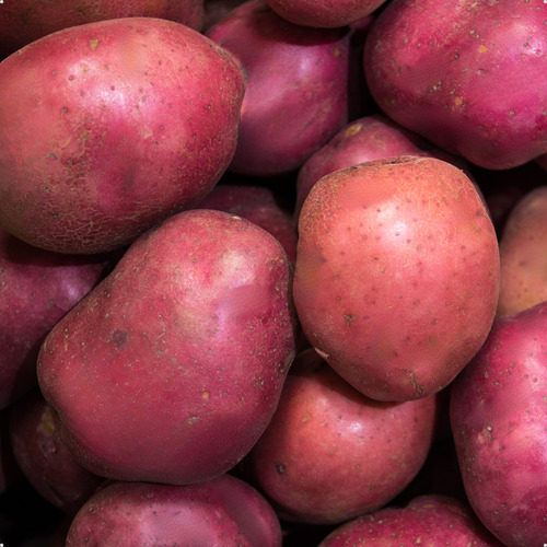 Kit Batata Asterix Premium 3kg E Cebola Roxa 10kg Saco