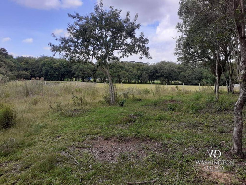 Imagem 13 de 21 de Chácara À Venda, 8500 M² Por R$ 260.000,00 - Zona Rural - São José Dos Pinhais/pr - Ch0060