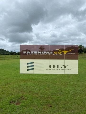 Imagem 2 de 2 de Arrendamento - Oportunidade Única | 1.000 Hectares | Para Lavoura - 157