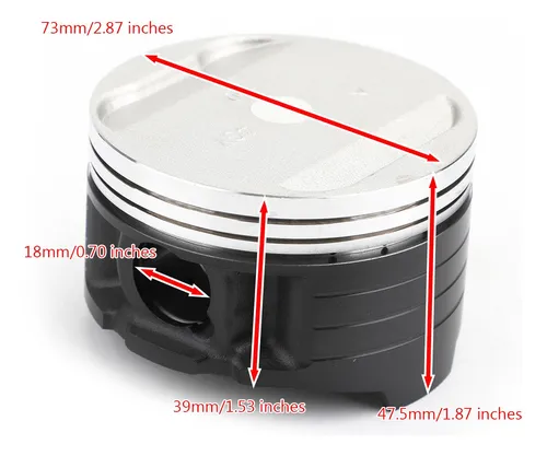 Pistón Anillo Kit 73mm Para Yamaha Tt250r Ttr250 Tt-r250
