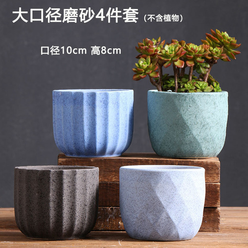 Maceta Para Plantas Suculentas, Creativa, De Cerámica