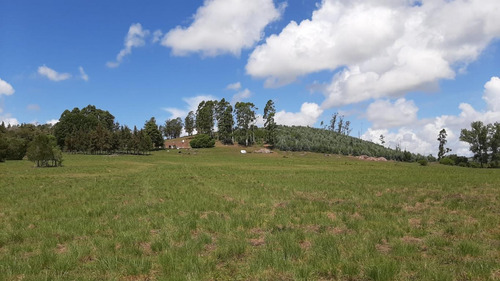 11 Hectáreas Cerca De Minas, Zona Del Campanero