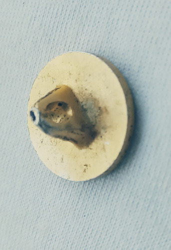Botão Em Metal Dourado Com Desenho De Um Brasão - Ab Dourado Liso (Usado)