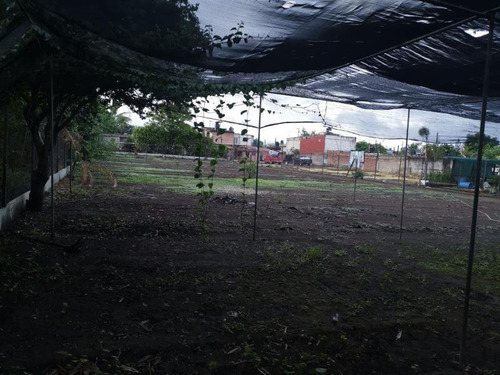 Terreno En Venta Casasano