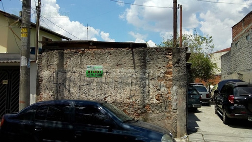 Terreno Para Venda, 0.0 M2, Vila Palmeiras - São Paulo - 1863