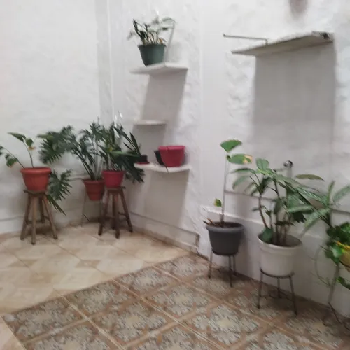 Casa Grande Y Moderna
