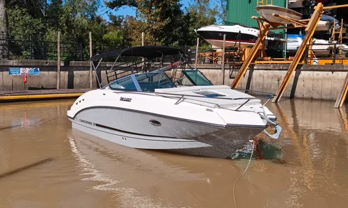 Canestrari 225 Cuddy Volvo Penta 280 Hp V6 Duoprop