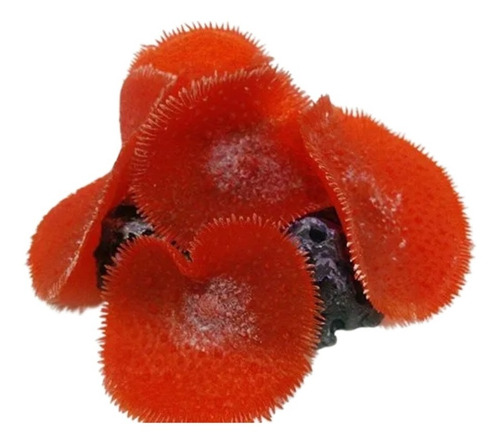 Enfeite Coral Mushroom Ear Red Para Aquário E Decoração