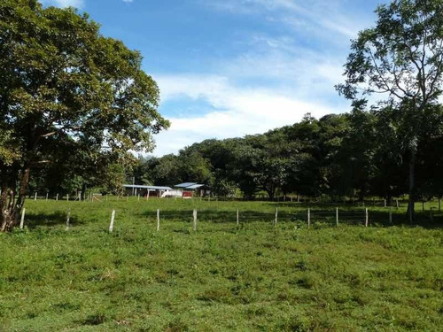 Imagen 5 de 9 de Finca En Venta En Santa Bárbara
