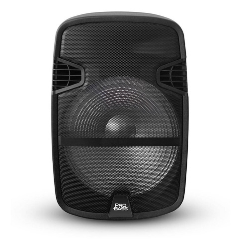 Parlante Pro Bass Street 15 portátil con bluetooth negro