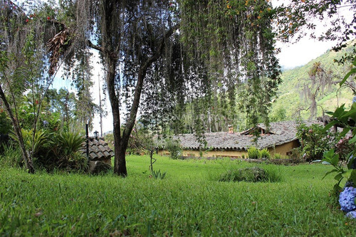 Se Vende Bella Finca De 10 Hectáreas Con Casa Colonial En Cacute Sector Santa Elena, Mérida.