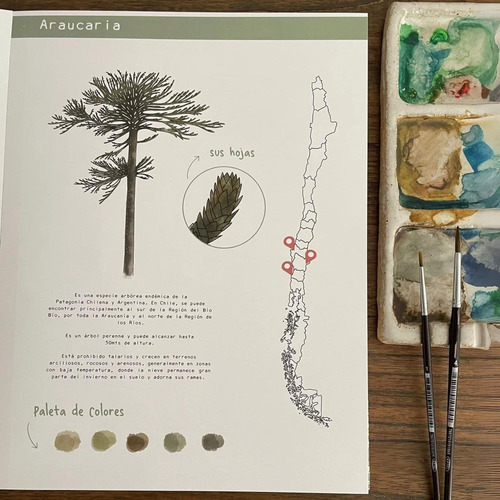 Libro Para Colorear: Fauna Y Flora - Vicky Aguirre/tapa Dura