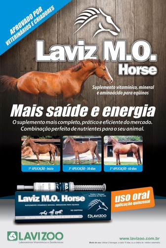 Suplemento Laviz Mo Horse Caja Con 2 Jeringas De 40 Grs.