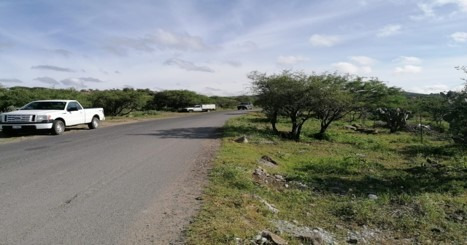 Imagen 1 de 5 de Se Venden 2 Hecteareas En Tequisquiapan Hasta 12 Msi