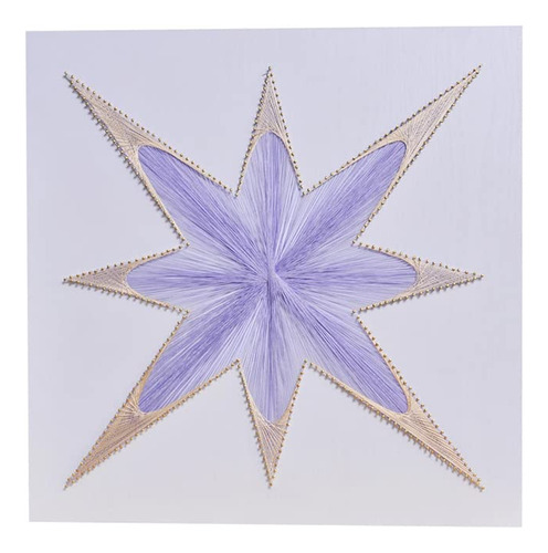 Kit Arte Cuerda Estrella Purpura Diy 3d Patron Uña Linea