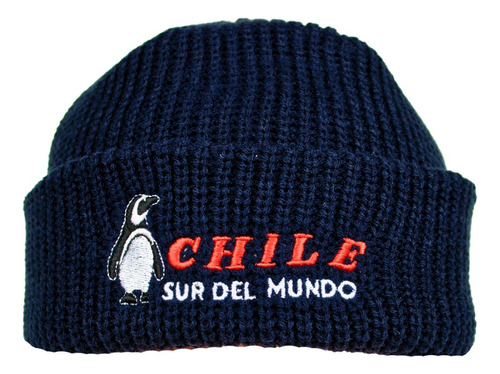 Gorro De Lana Bordado Con Diseños De Chile 