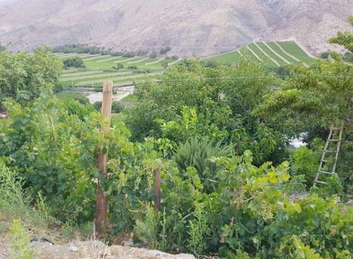 Terreno En Valle Del Elqui 5.000m2 Con 500 Árboles Frutales